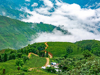 Offbeat North Bengal